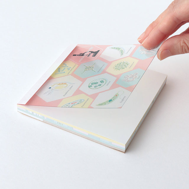 Green Flash Study Holic Square Memo Pad - Microbiology