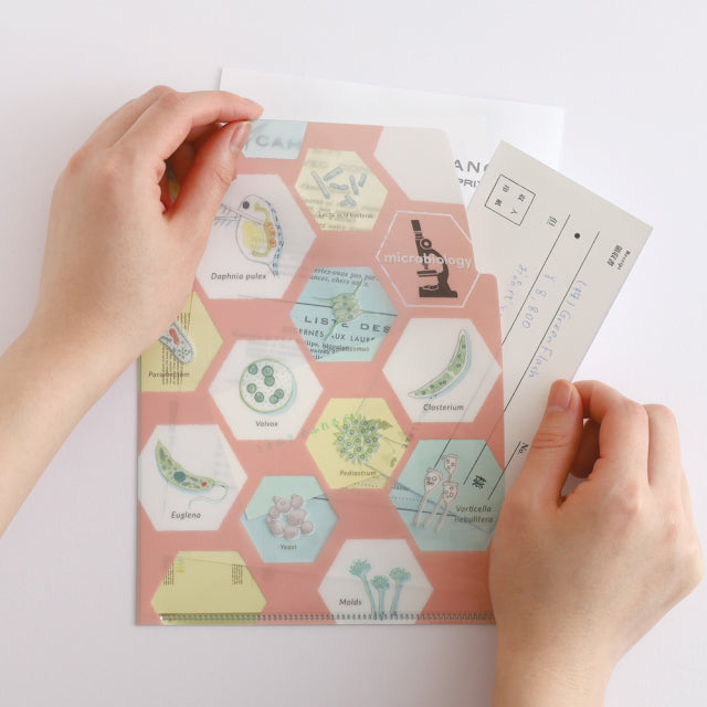 Green Flash Study Holic A5 Double Pocket Clear File - Microbiology