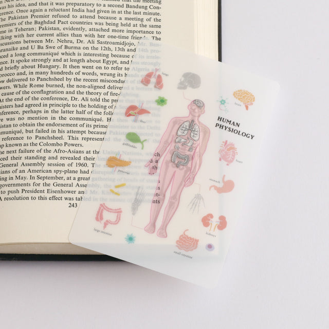 Green Flash Study Holic Clear Bookmark - Human Biology