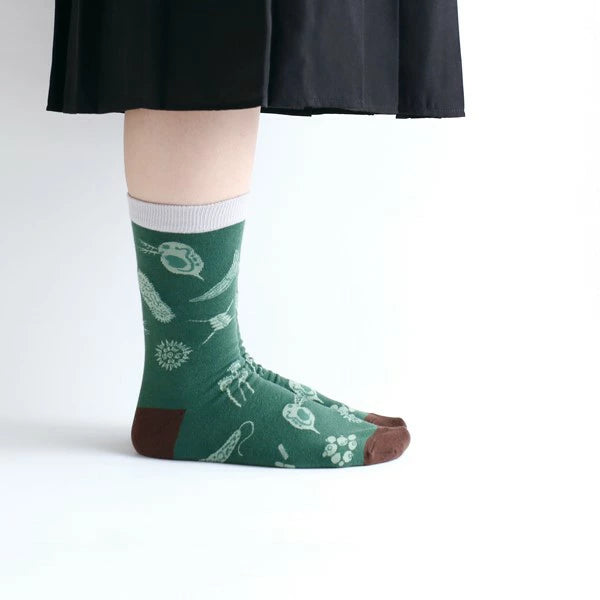 Green Flash Study Holic Socks - Microbiology