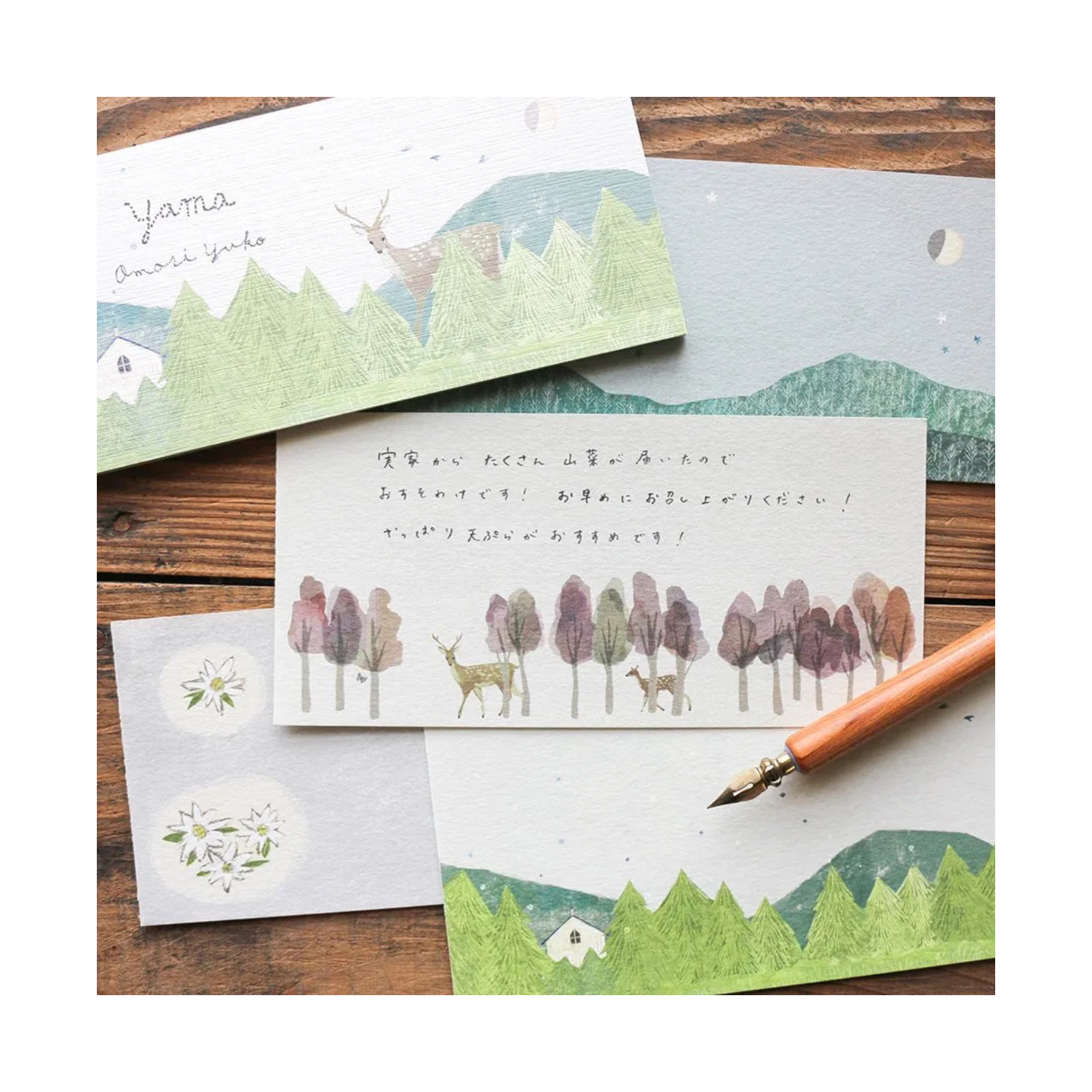 Yuko Omori (大森木綿子)