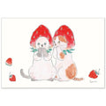 Tocorocomugi Postcard - Strawberry Kittens