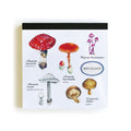 Green Flash Study Holic Square Memo Pad - Mycology