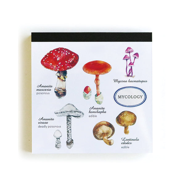 Green Flash Study Holic Square Memo Pad - Mycology