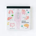 Green Flash Study Holic Square Memo Pad - Human Physiology