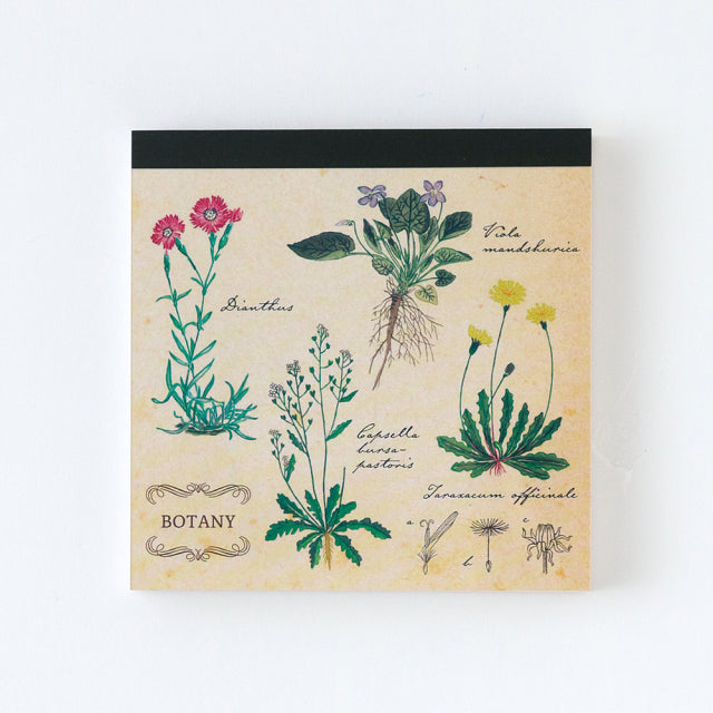 Green Flash Study Holic Square Memo Pad - Botany