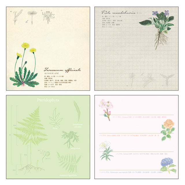 Green Flash Study Holic Square Memo Pad - Botany