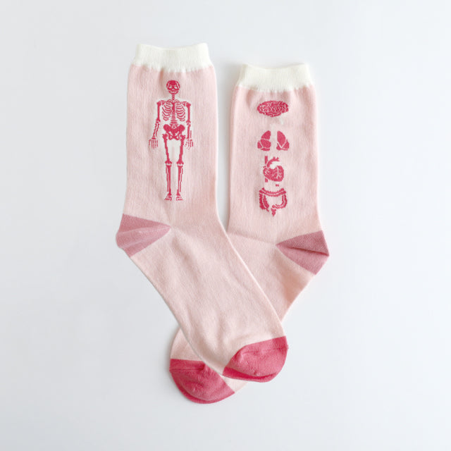 Green Flash Study Holic Socks - Human Biology