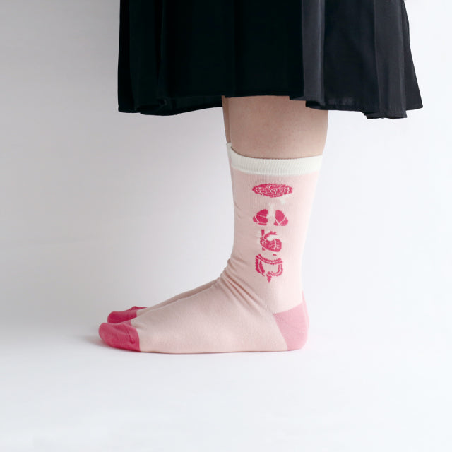 Green Flash Study Holic Socks - Human Biology