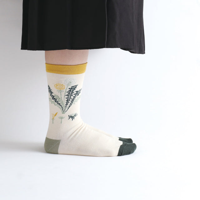 Green Flash Study Holic Socks - Botany