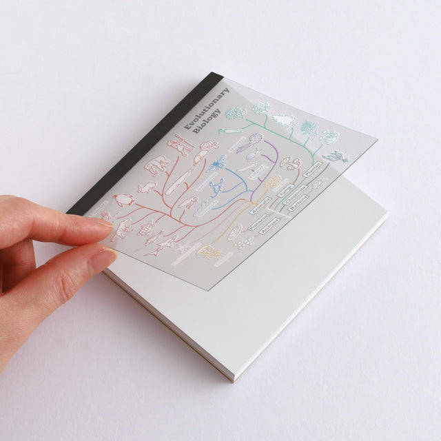 Green Flash Study Holic Square Memo Pad - Evolutionary Biology