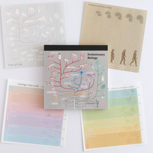 Green Flash Study Holic Square Memo Pad - Evolutionary Biology