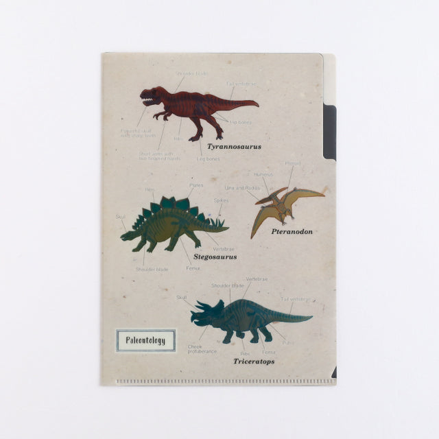 Green Flash Study Holic A5 Double Pocket Clear File - Paleontology