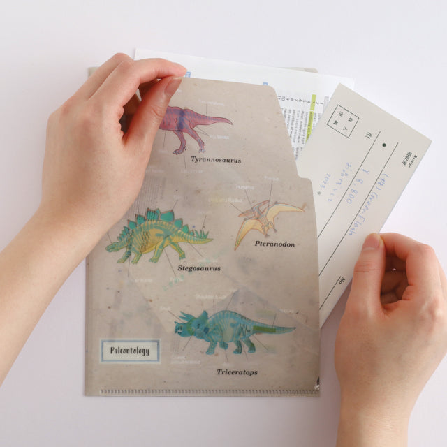 Green Flash Study Holic A5 Double Pocket Clear File - Paleontology