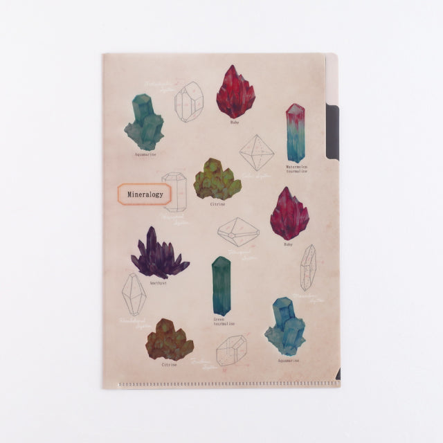 Green Flash Study Holic A5 Double Pocket Clear File - Mineralogy