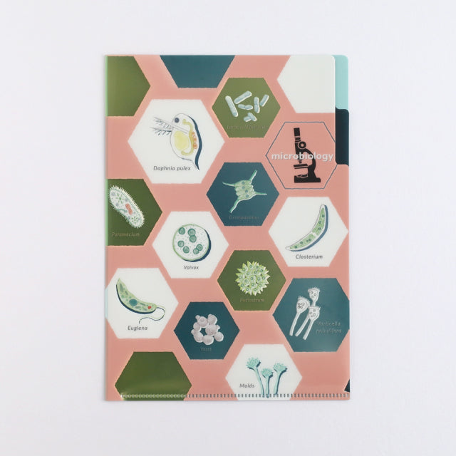 Green Flash Study Holic A5 Double Pocket Clear File - Microbiology