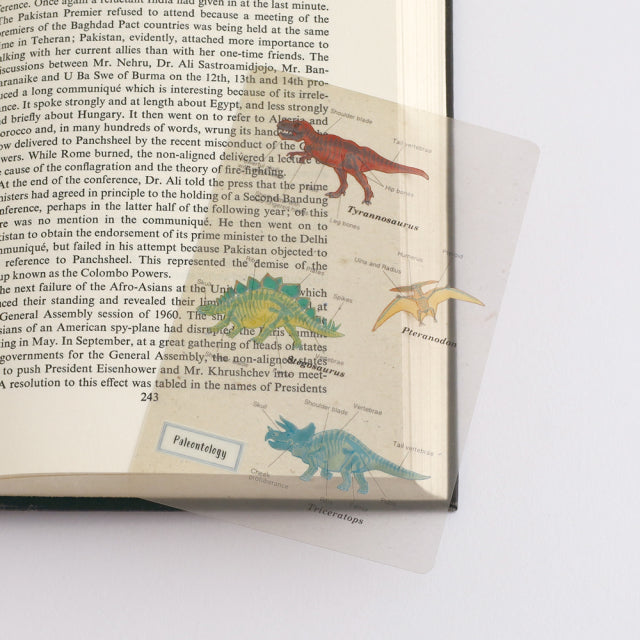 Green Flash Study Holic Clear Bookmark - Paleontology