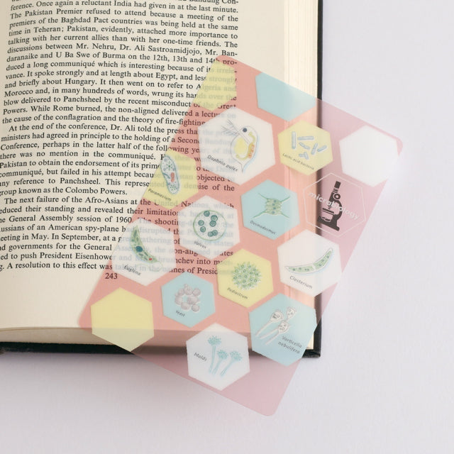 Green Flash Study Holic Clear Bookmark - Microbiology