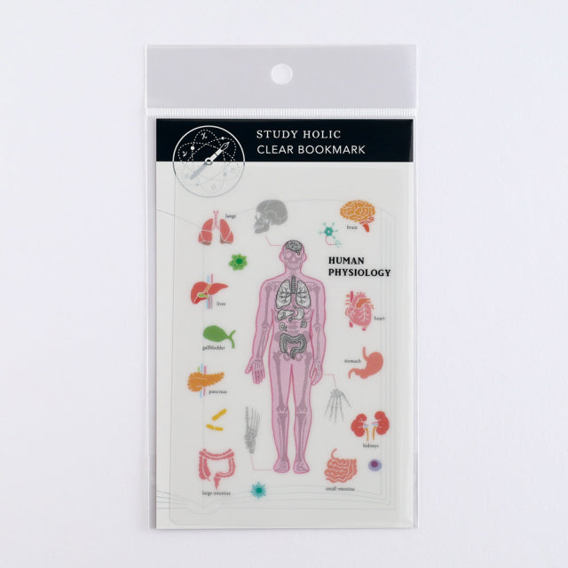 Green Flash Study Holic Clear Bookmark - Human Biology
