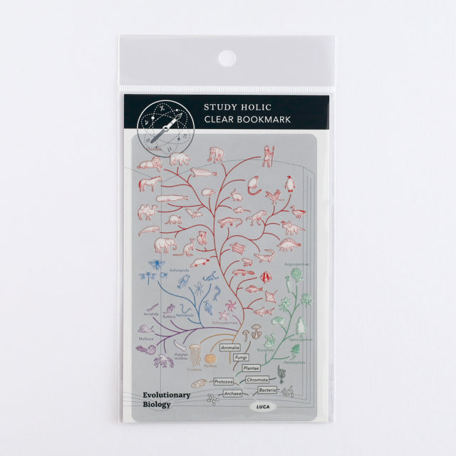 Green Flash Study Holic Clear Bookmark - Evolutionary Biology