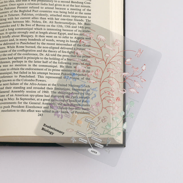 Green Flash Study Holic Clear Bookmark - Evolutionary Biology