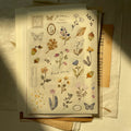 PION Washi Sticker Sheet – Flower & Fruit