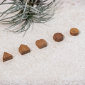 Wooden Shape Magnet Set