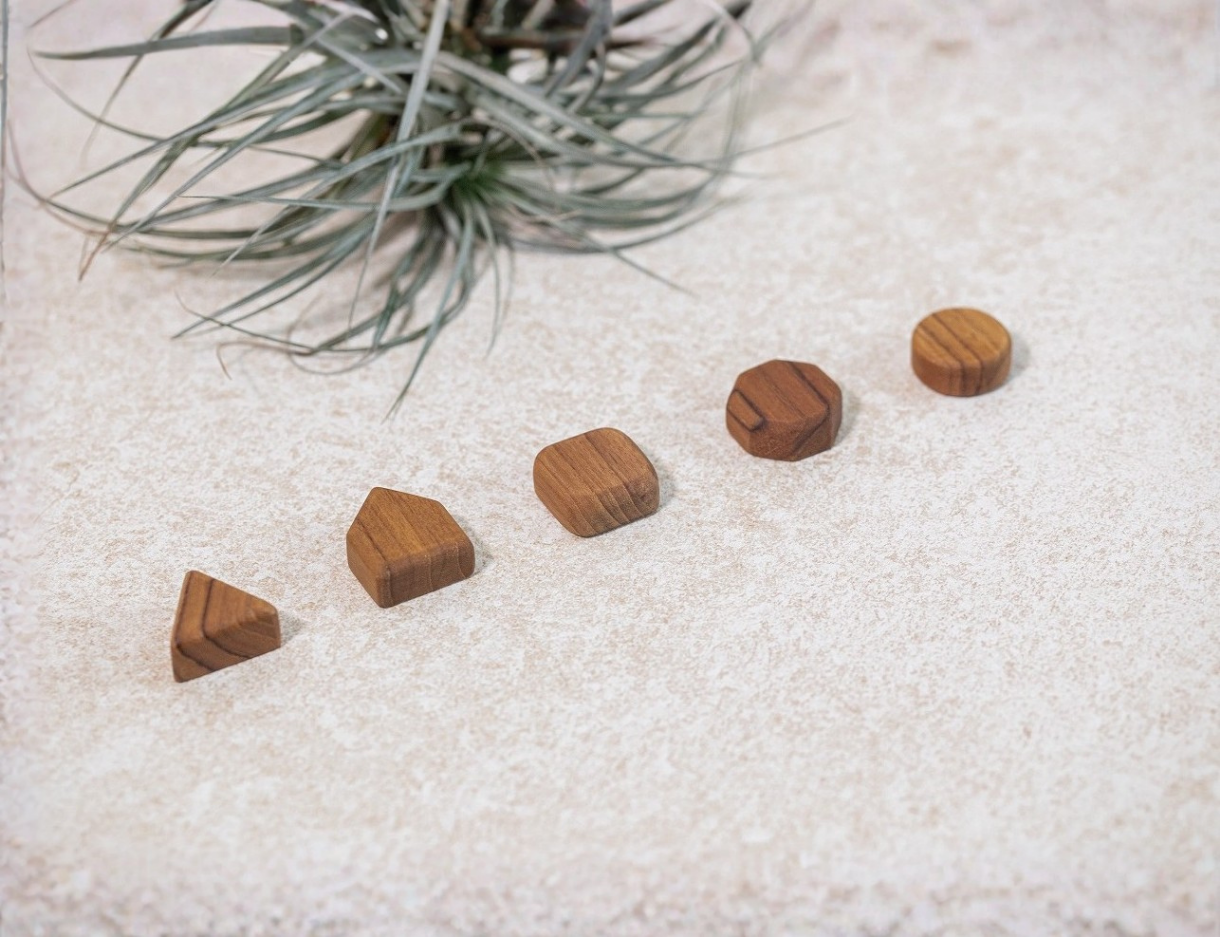 Wooden Shape Magnet Set
