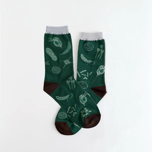 Green Flash Study Holic Socks - Microbiology